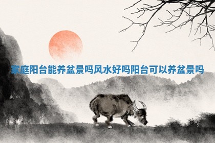 家庭阳台能养盆景吗风水好吗 🙎 _阳台可以养盆 🏞 景吗