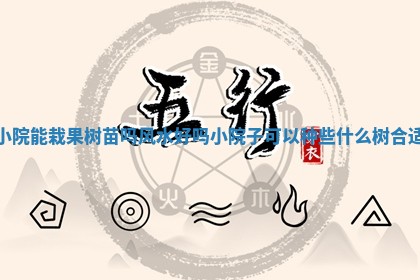 小 👴 院能栽果树苗吗风水好吗 小院子可以种些什么 🕗 树合适