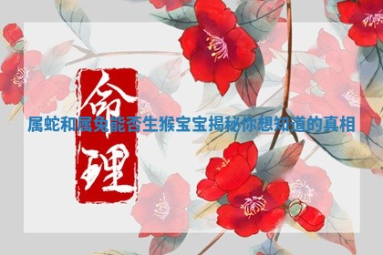 属蛇和属兔能否生猴宝宝揭秘你 🍱 想知道的真 🏕 相