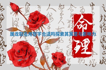 属龙取名用智字合适 📛 吗探索其寓意与 🕥 影响力