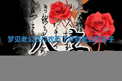 梦见 💞 老公去打农 🐭 药了_梦到老公打谷子